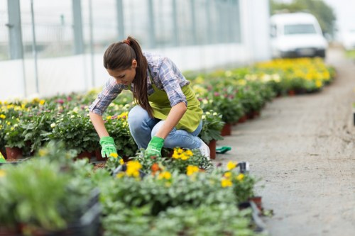 Landscape design and planting in Mitcham garden setting