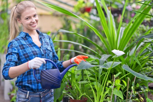 Professional garden landscaping for a Mitcham home or business