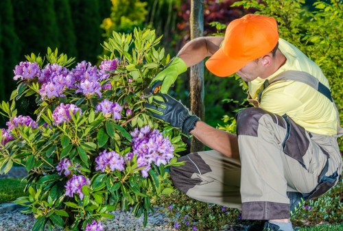Professional garden transformation concept for Mitcham property