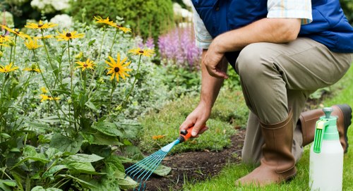 Professional garden lighting project planning in Mitcham