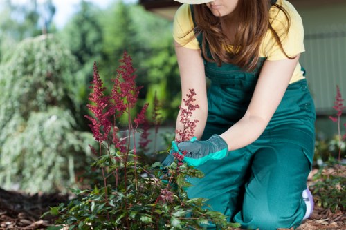 Landscaping work with materials and tools on an outdoor property