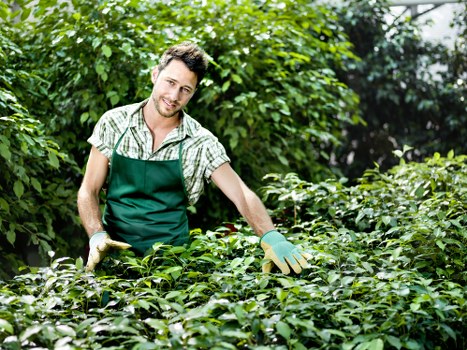 Load-based pricing example for landscaping waste removal