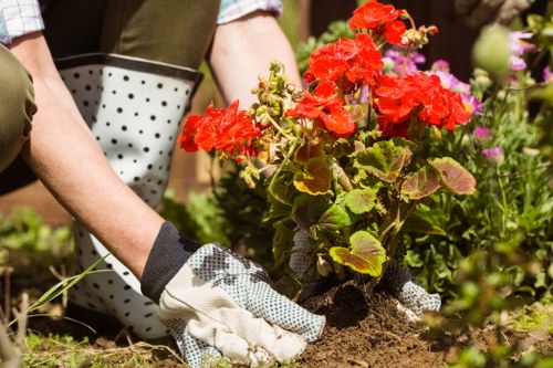Recording a landscaping complaint professionally